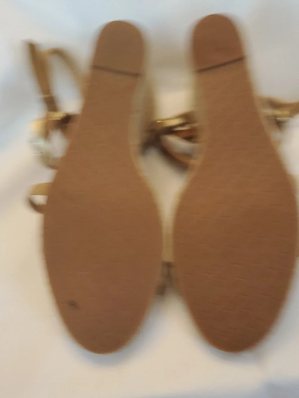 Tahari women gold